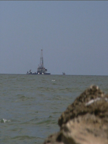 Forage Offshore