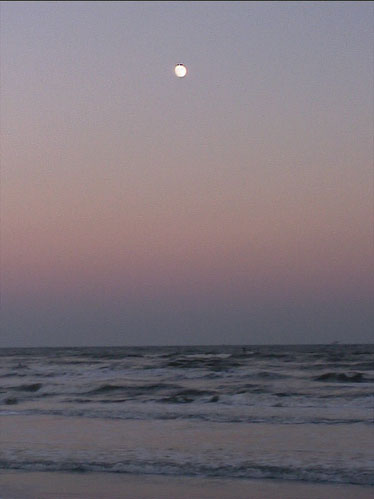 Moon