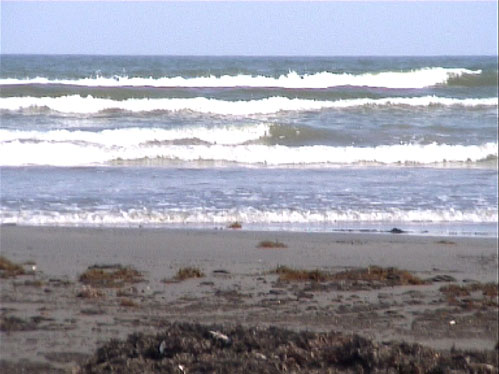 Plages et Vagues