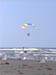 Plage et Mouettes et ULM